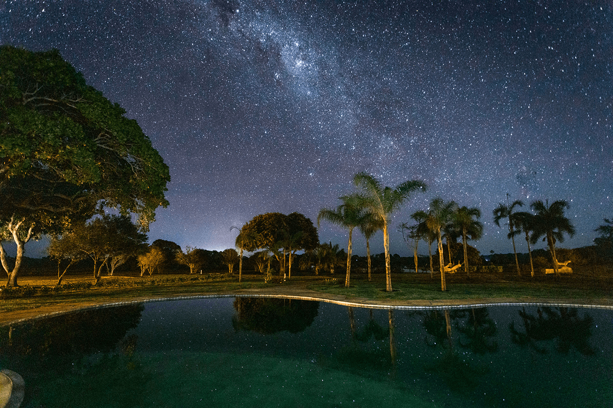 Caiman, Pantanal